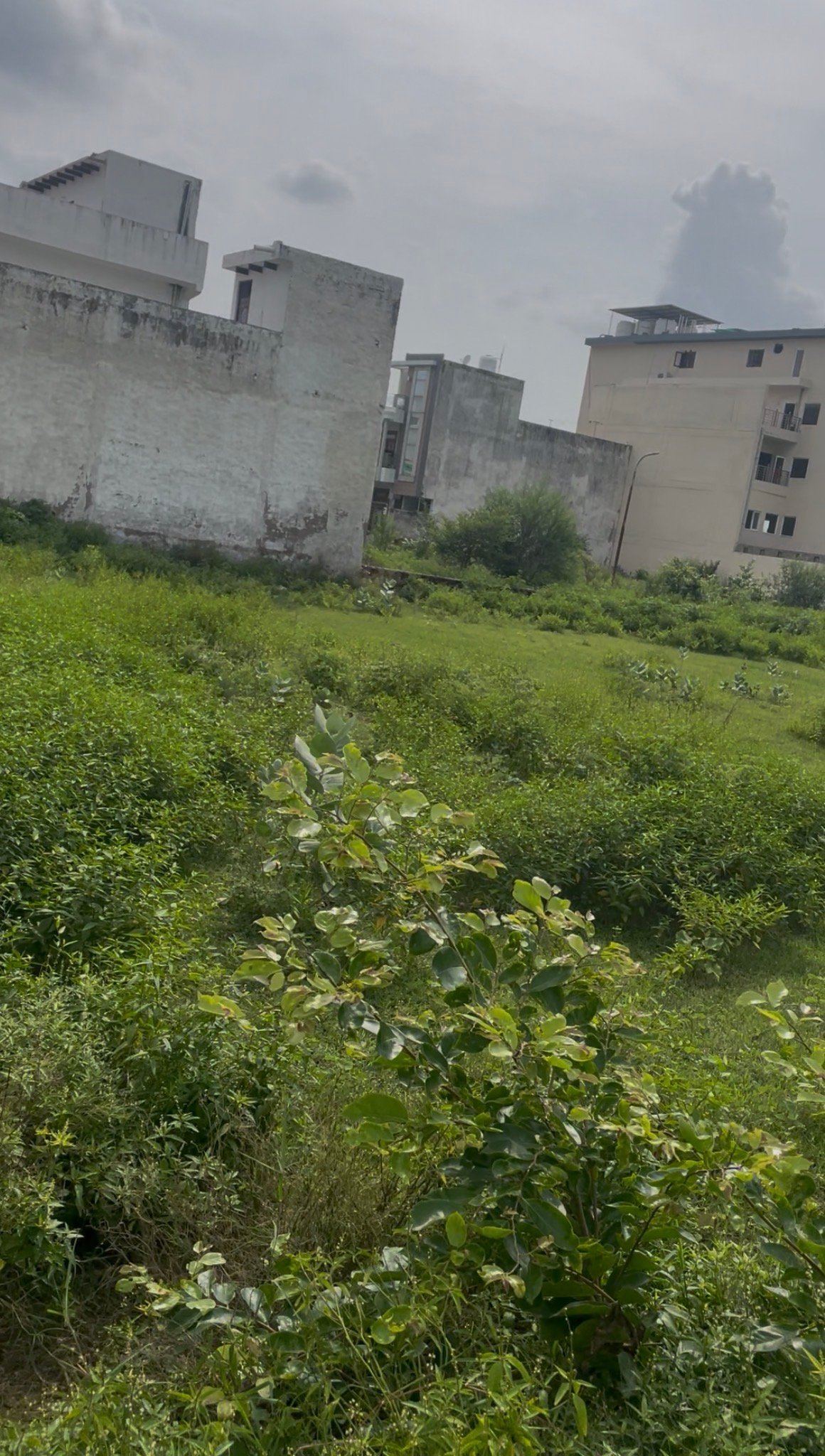 IMG_7229-Copy-2